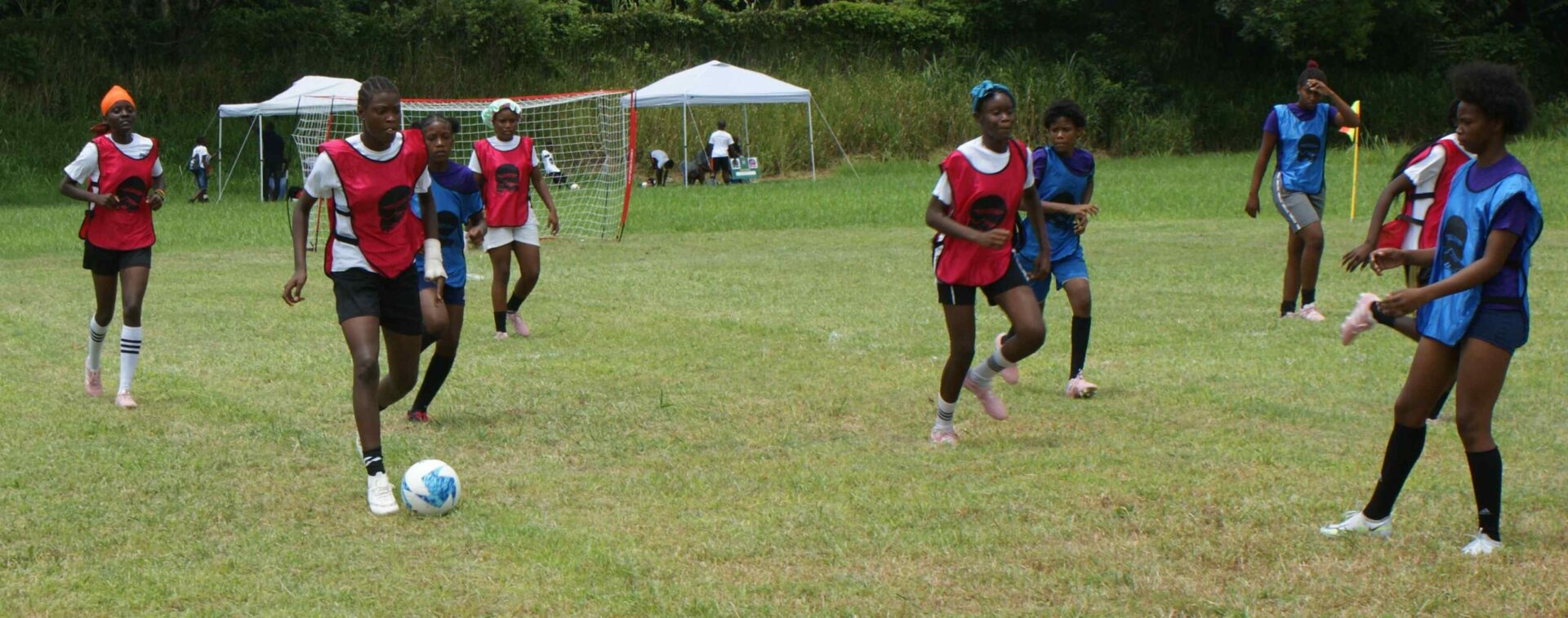 A group of young people playing soccer on the grass.