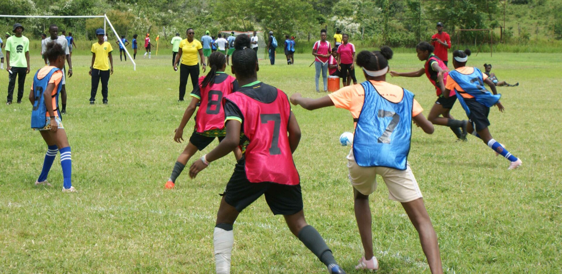 A group of people playing soccer in the grass.
